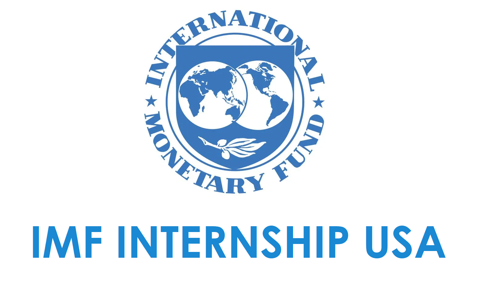 IMF Internship USA