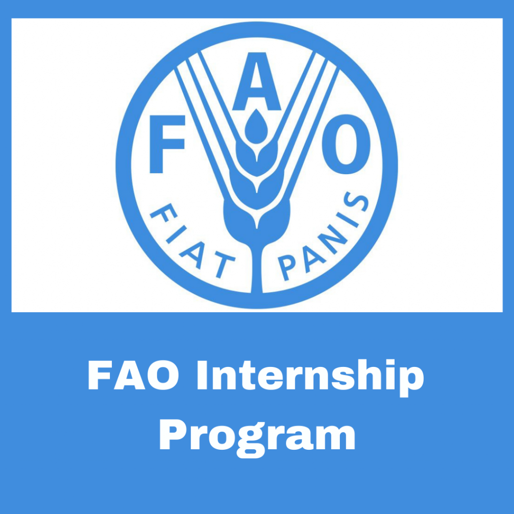 FAO Internship Program 2022 | Fully Funded