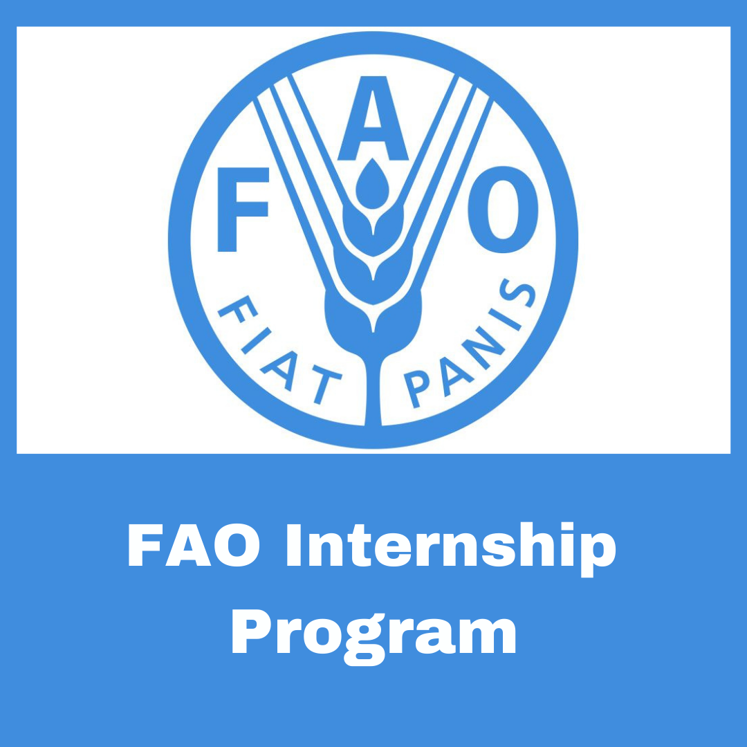 FAO Internship Program