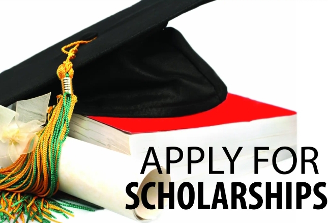 scholarships for international students