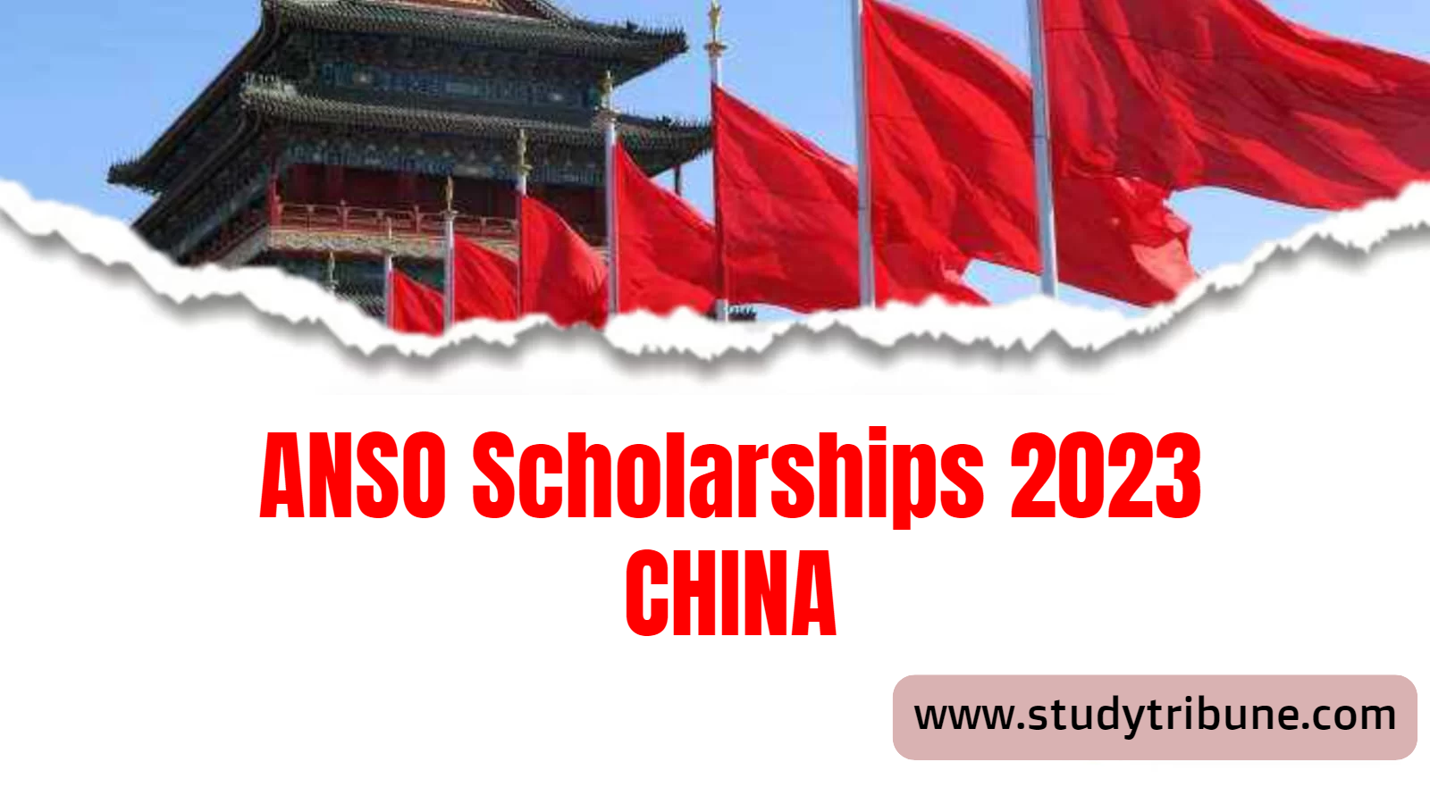 ANSO scholarships China