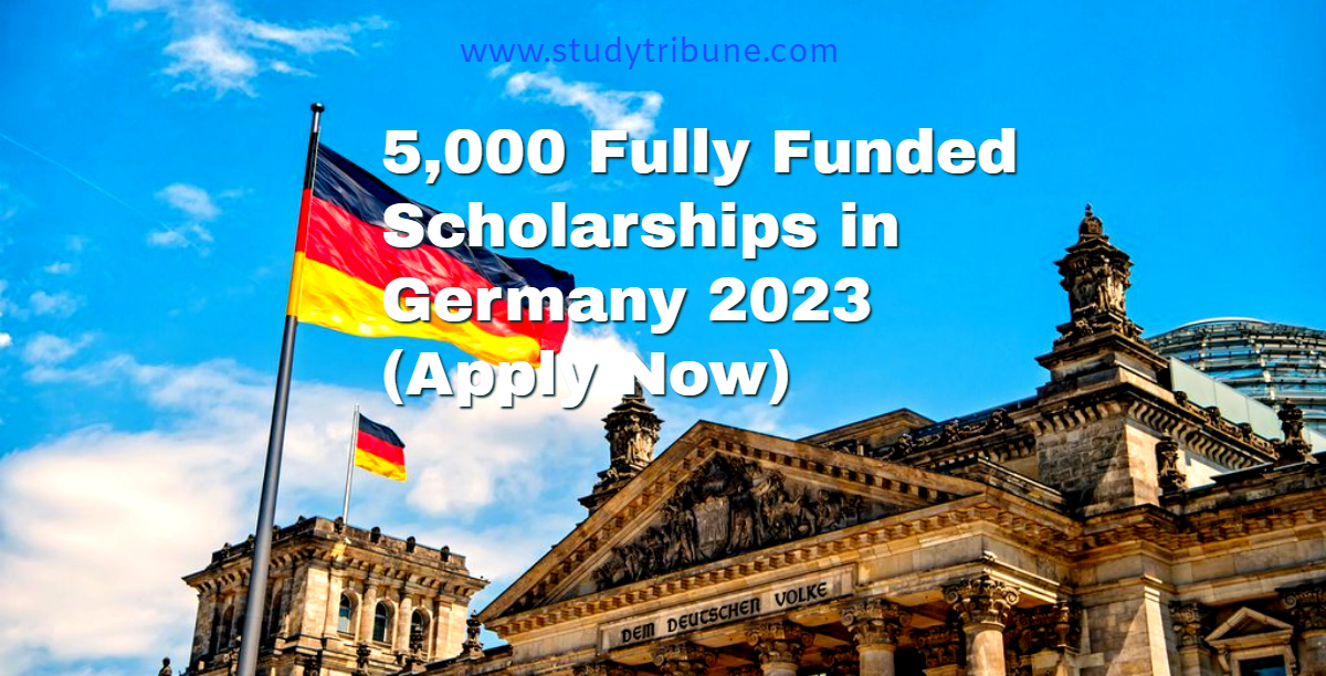 scholarships in germany